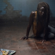 Michonne (Danai Guriria) eats something that doesn’t agree with her...perception of reality.